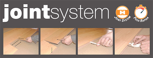 Joint System